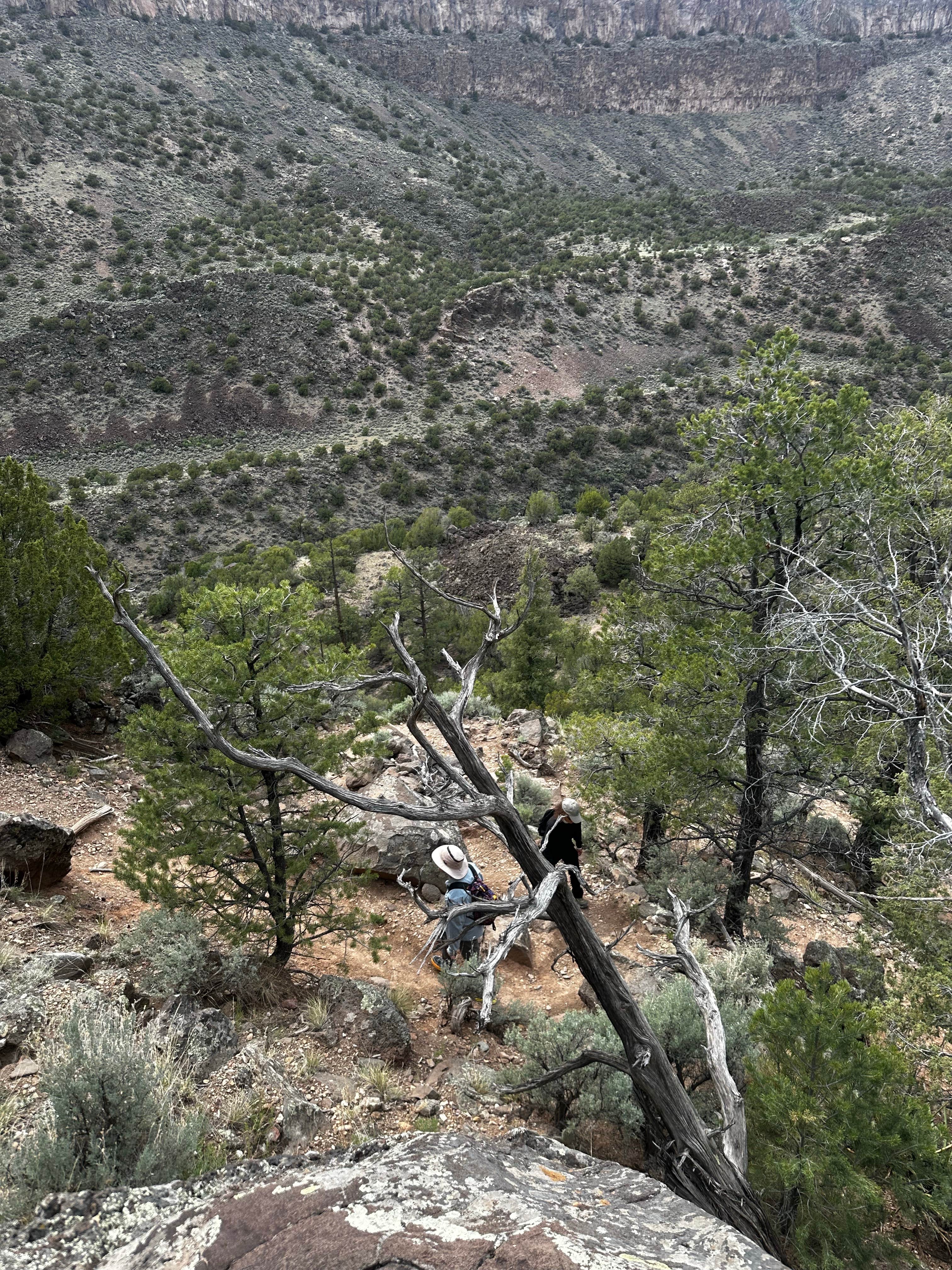 Camper submitted image from Cebolla Mesa - 5