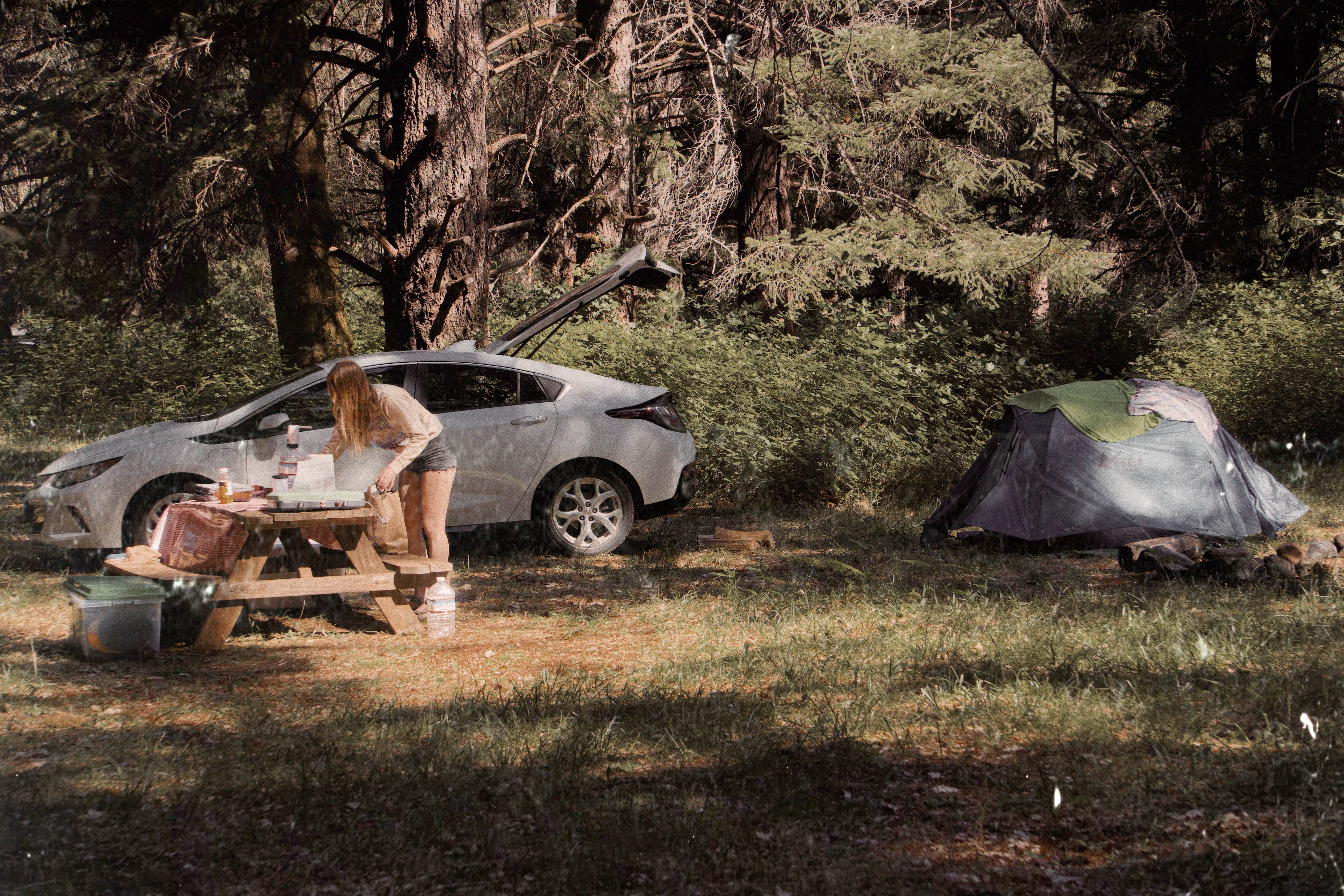 Katie G.'s photo at Cedar Bloom near Selma, OR