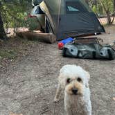 Review photo of Rough Rider State Park Campground by Steven O., September 10, 2026