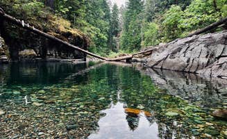 june G.'s photo of a dispersed camping area at Cedar Creek Camp near Forks, WA