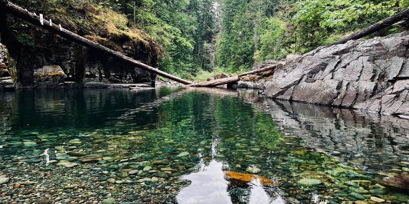 Camper submitted image from Cedar Creek Camp