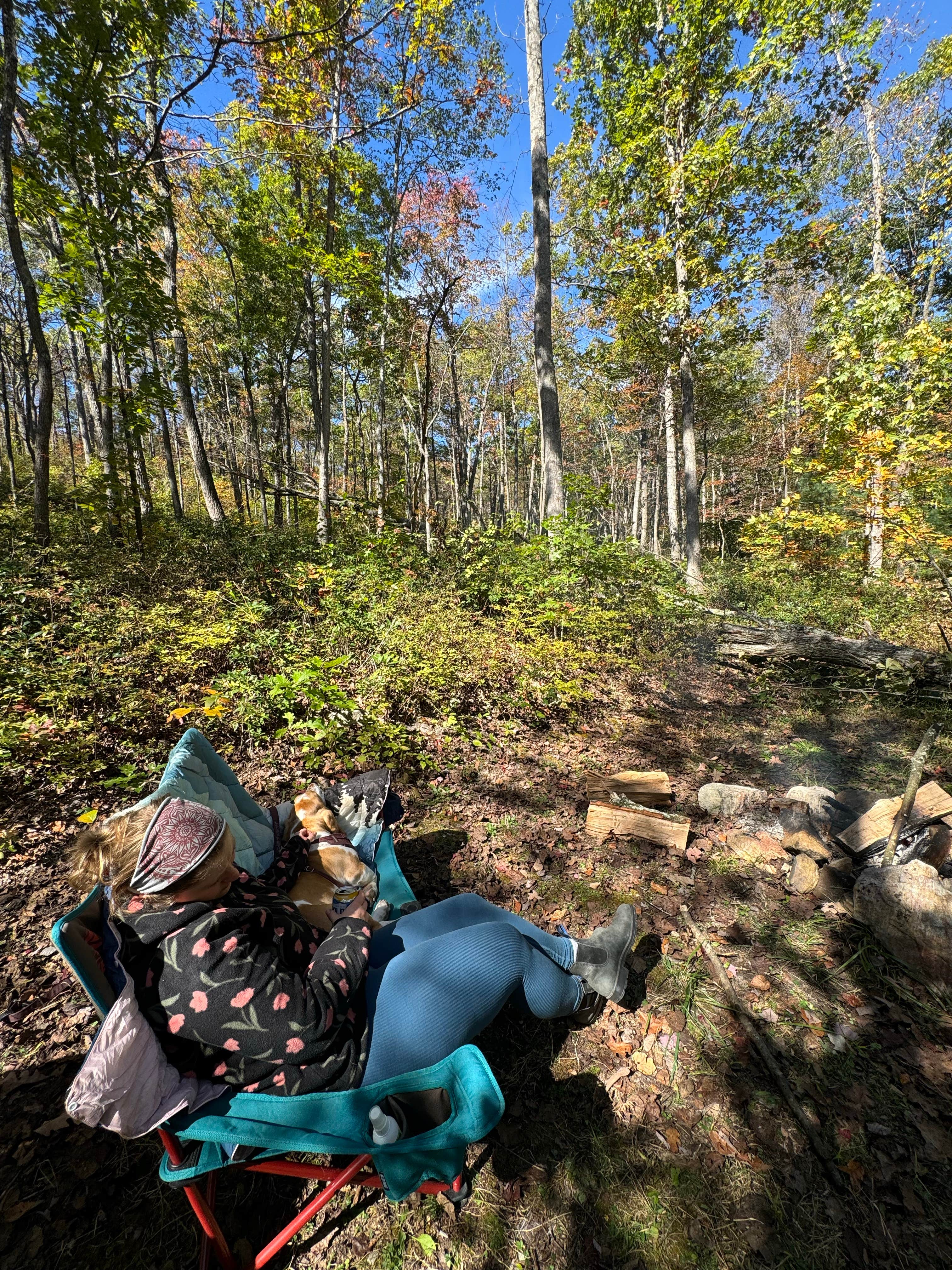 Camper-submitted photo at Cedar Creek Trail dispersed campsite near Rippon, WV
