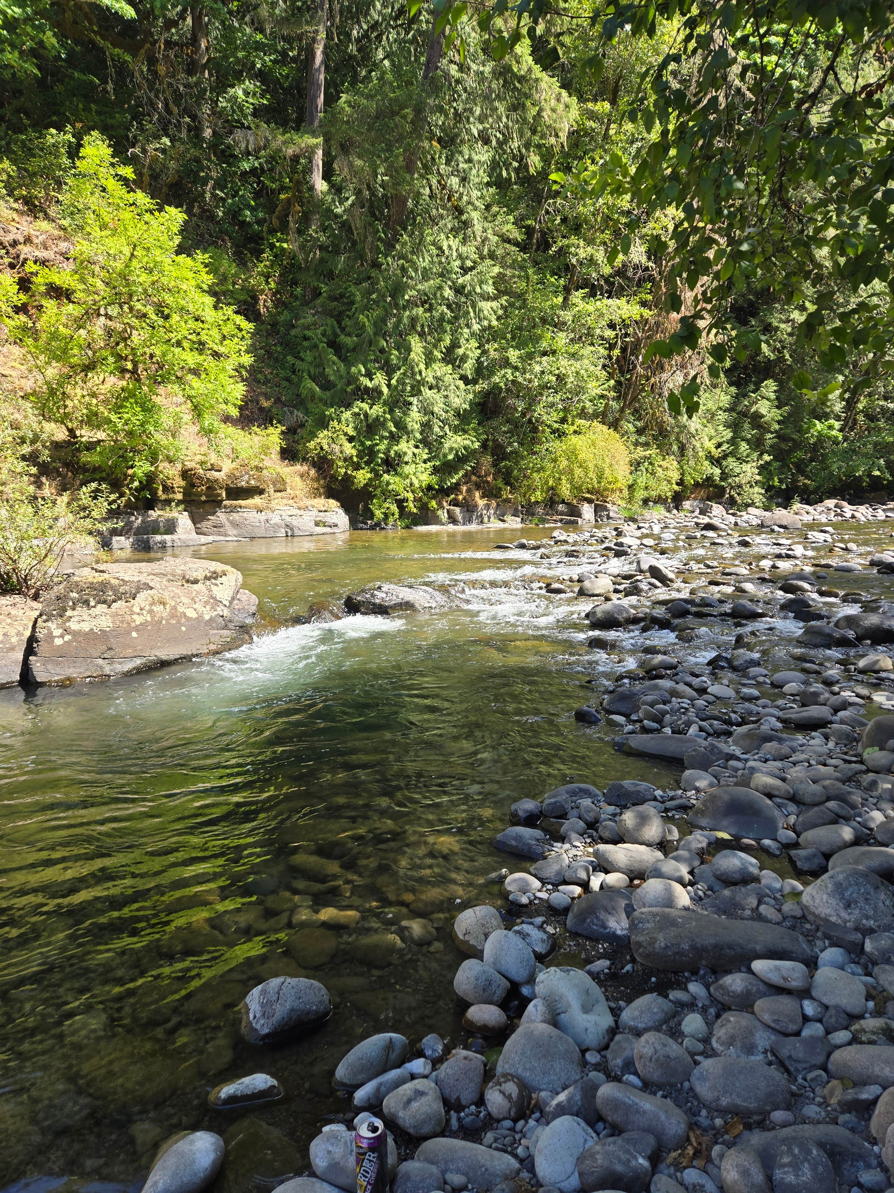 Camper submitted image from Cedar Grove Recreation Site - 4