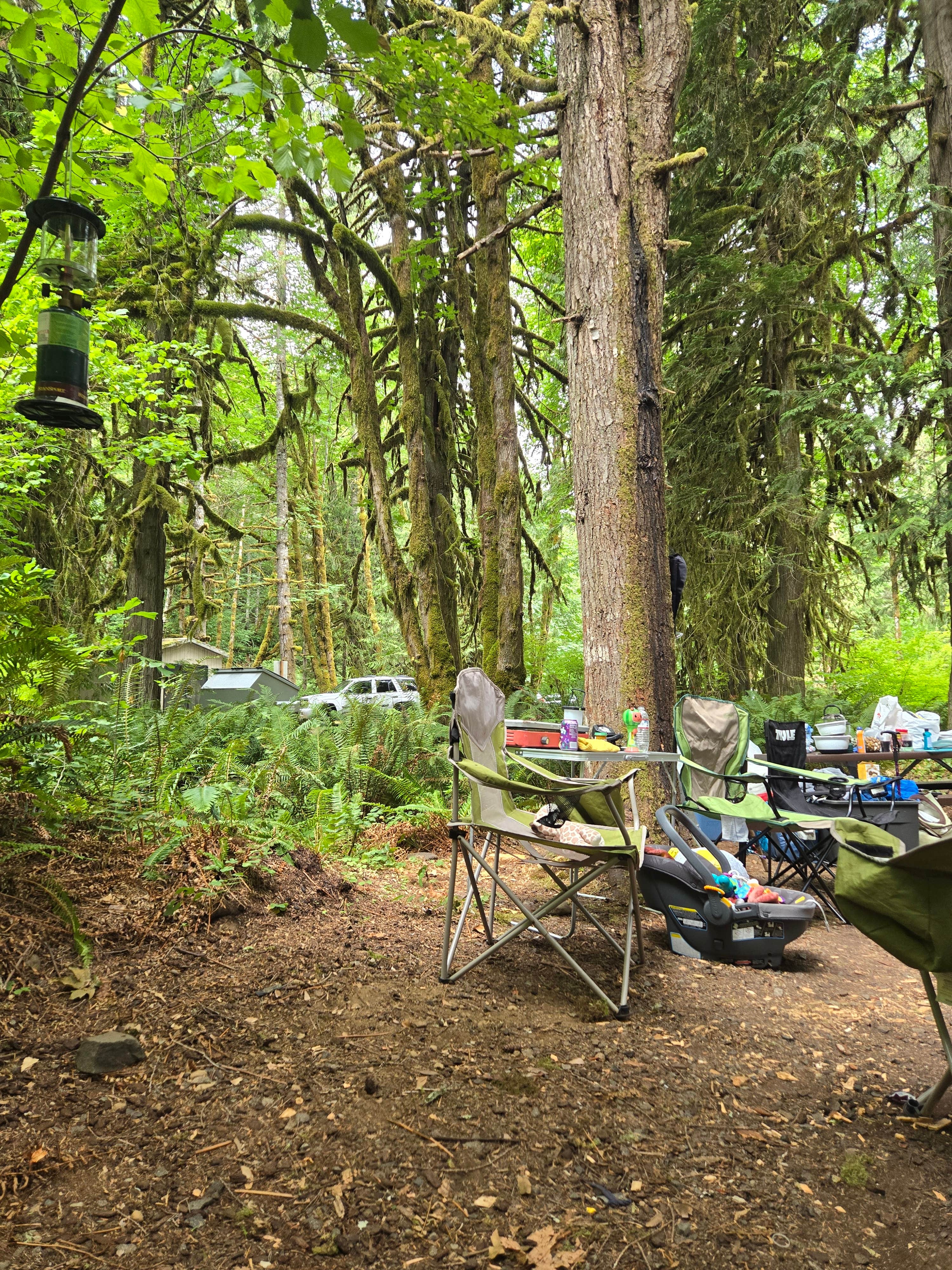 Camper submitted image from Cedar Grove Recreation Site - 3