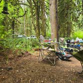 Review photo of Cedar Grove Recreation Site by Barbara H., October 13, 2025