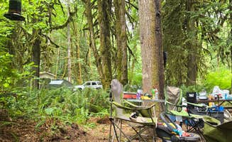 Barbara H.'s photo of tent camping at Cedar Grove Recreation Site near Mehama, OR