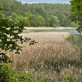 Review photo of Cedar Lake (Oklahoma) Equestrian Camp by Jennifer O., April 27, 2024