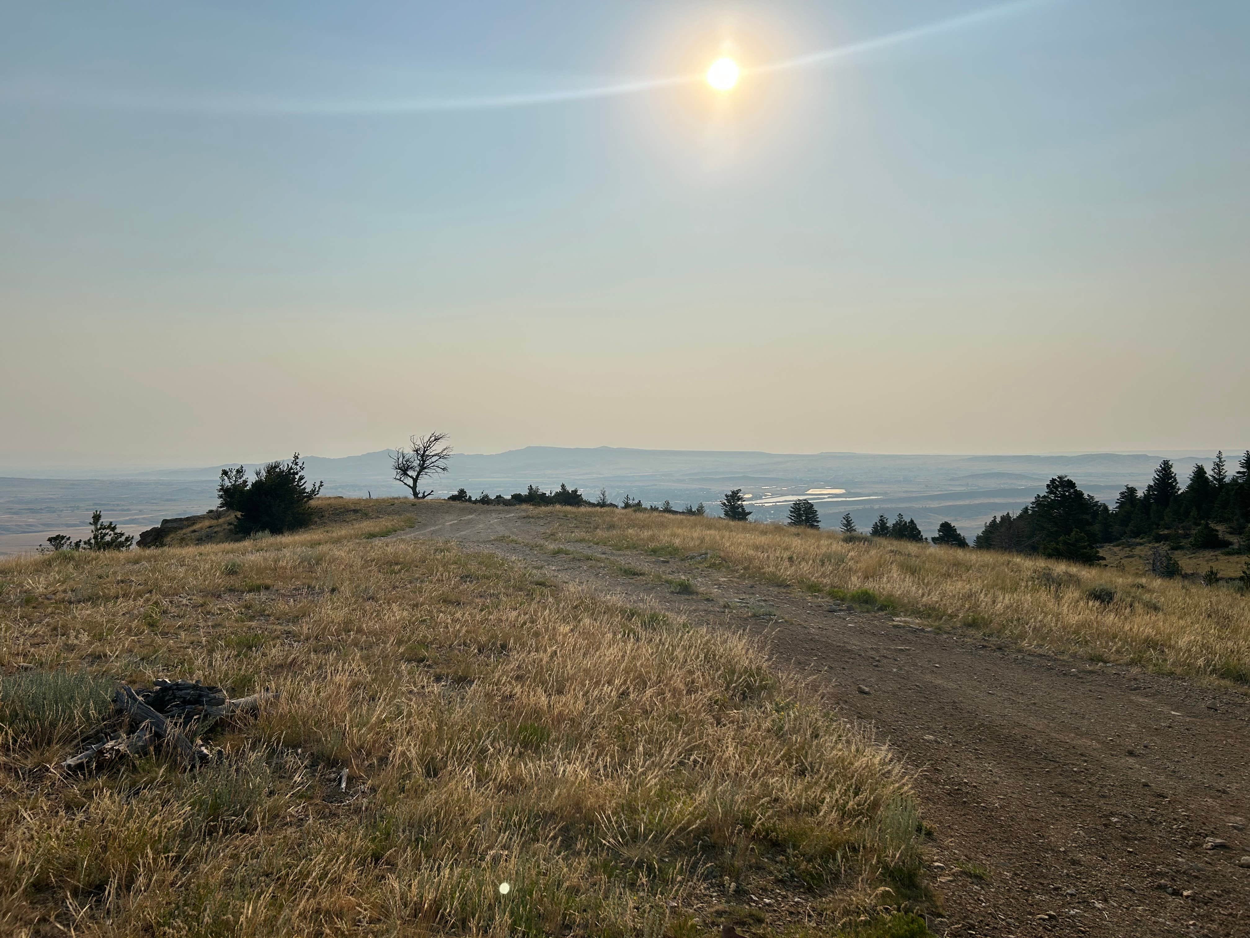 Brianna V.'s photo of a dispersed camping area at Cedar Mountain Dispersed - Closed to Camping near Red Lodge, MT