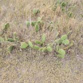 Review photo of Cedar Pass Campground — Badlands National Park by Jennifer K., August 14, 2025