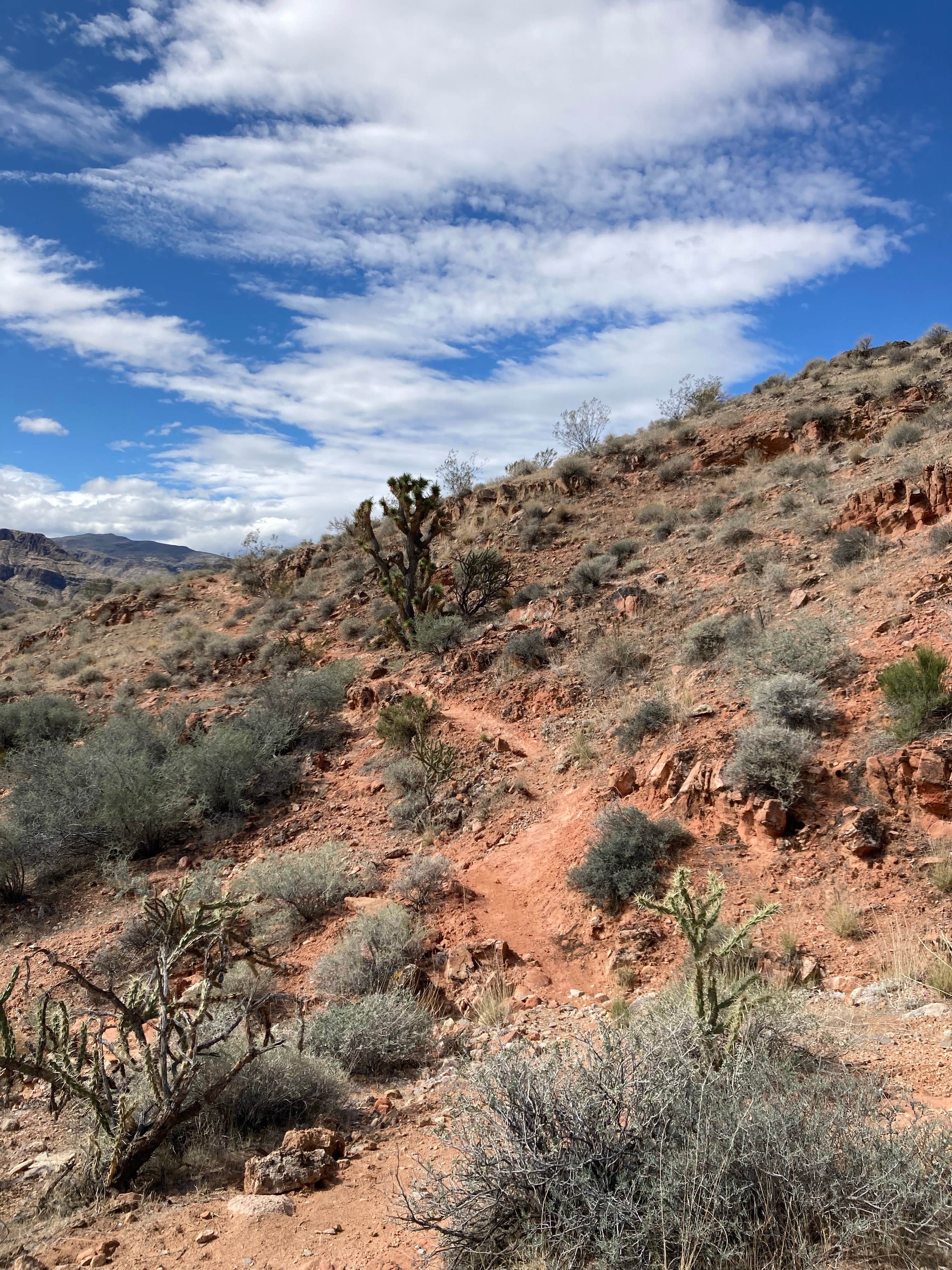 Camper-submitted photo at Cedar Pockets Pass Road - Dispersed Camping near Bunkerville, NV