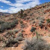 Review photo of Cedar Pockets Pass Road - Dispersed Camping by Cobalt B., May 18, 2025