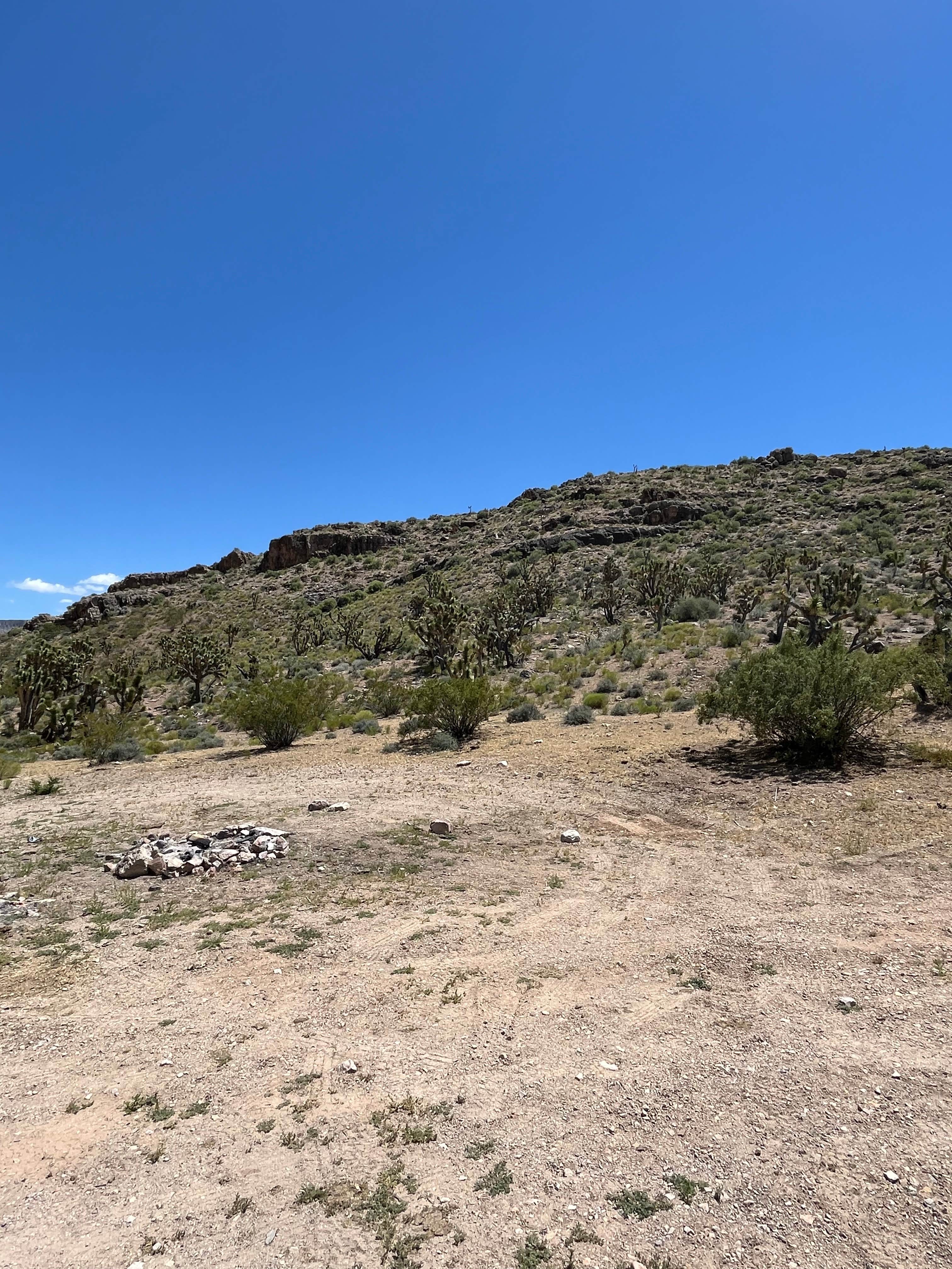 Camper-submitted photo at Cedar Pockets Pass Road - Dispersed Camping near Bunkerville, NV