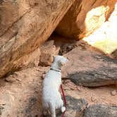 Review photo of Cedar Pockets Pass Road - Dispersed Camping by Cobalt B., May 18, 2025