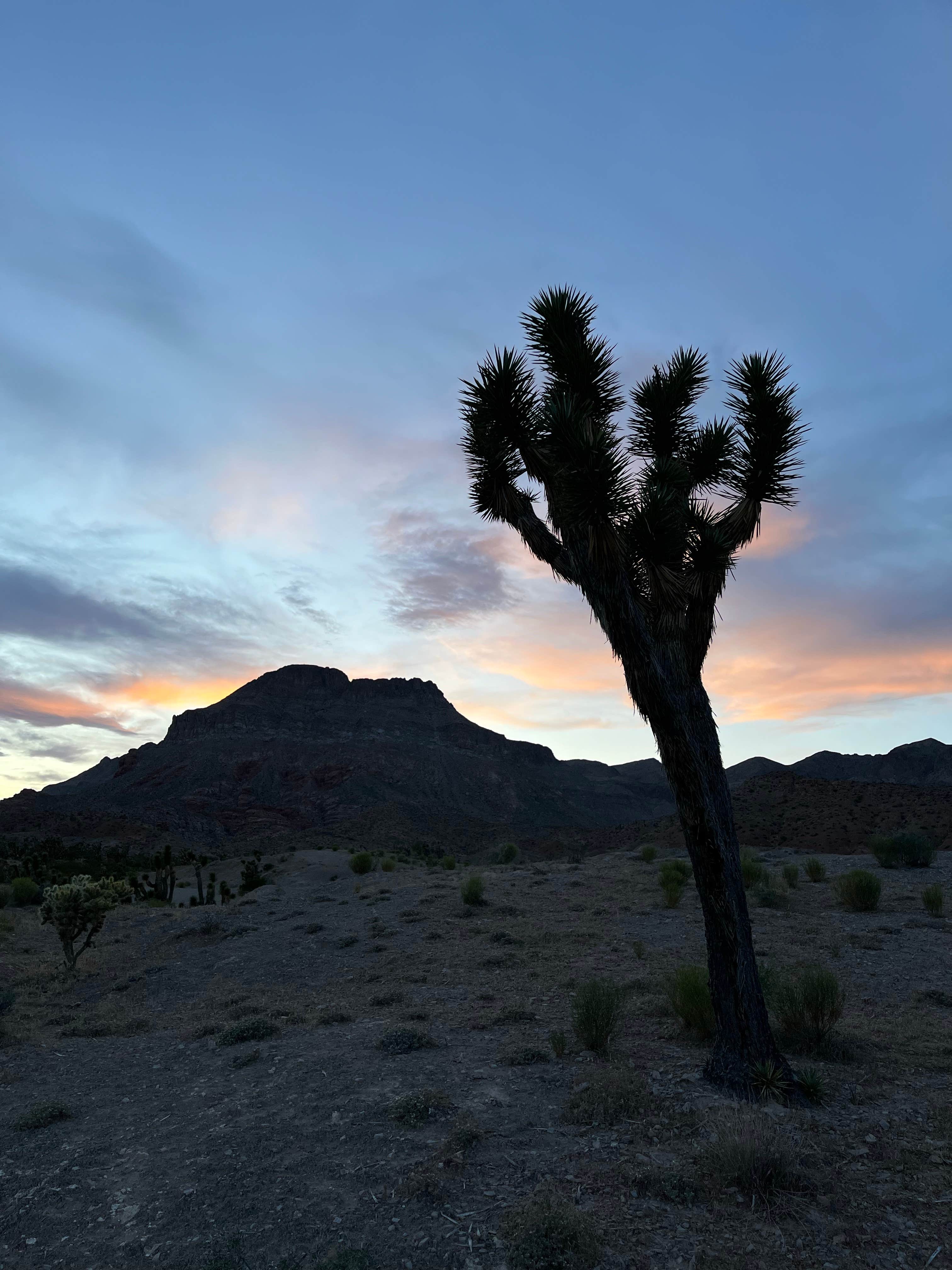 Cedar Pockets Pass Road - Dispersed Camping