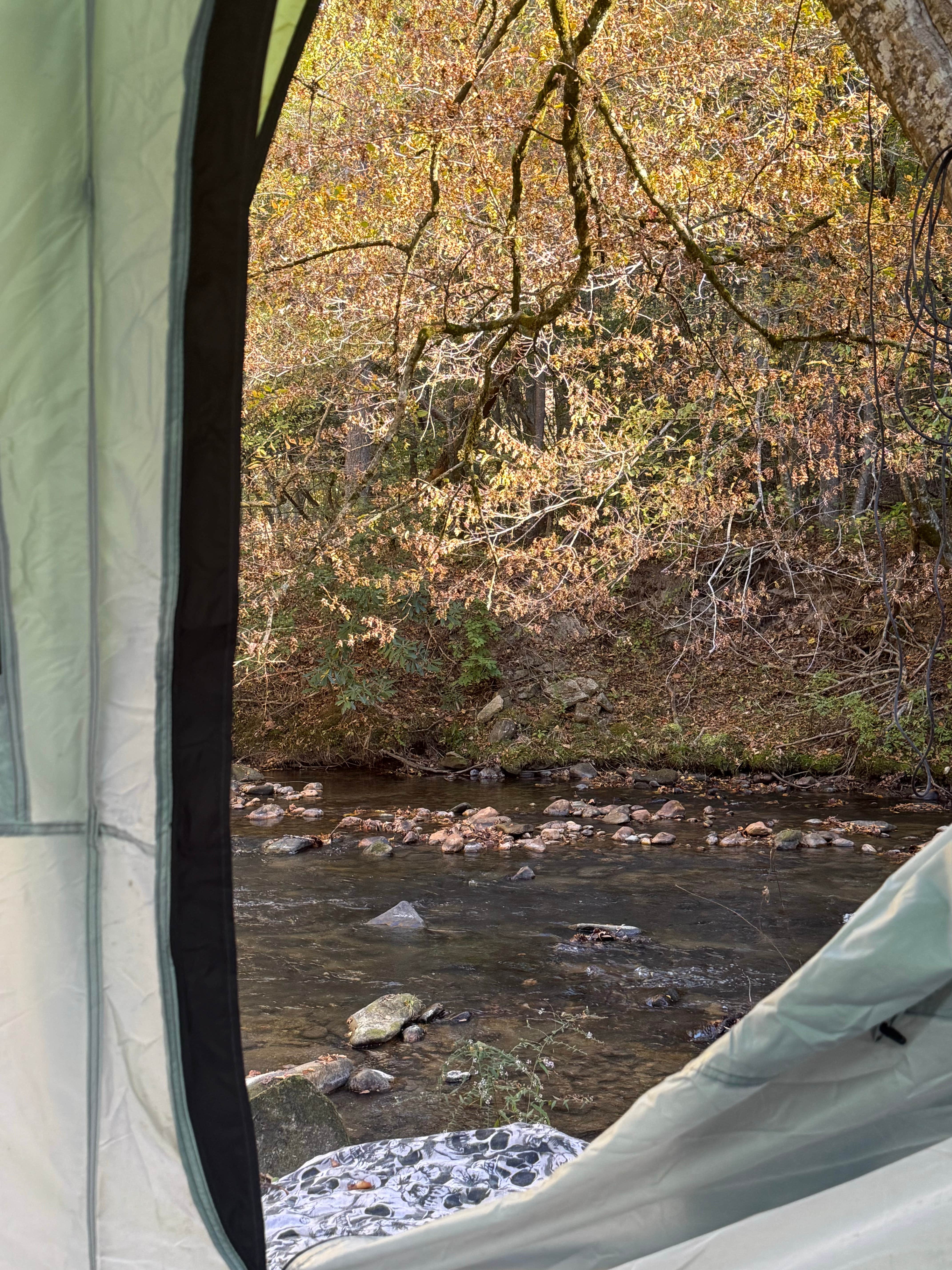 Camper-submitted photo at Cedar Rock Campground near Traphill, NC