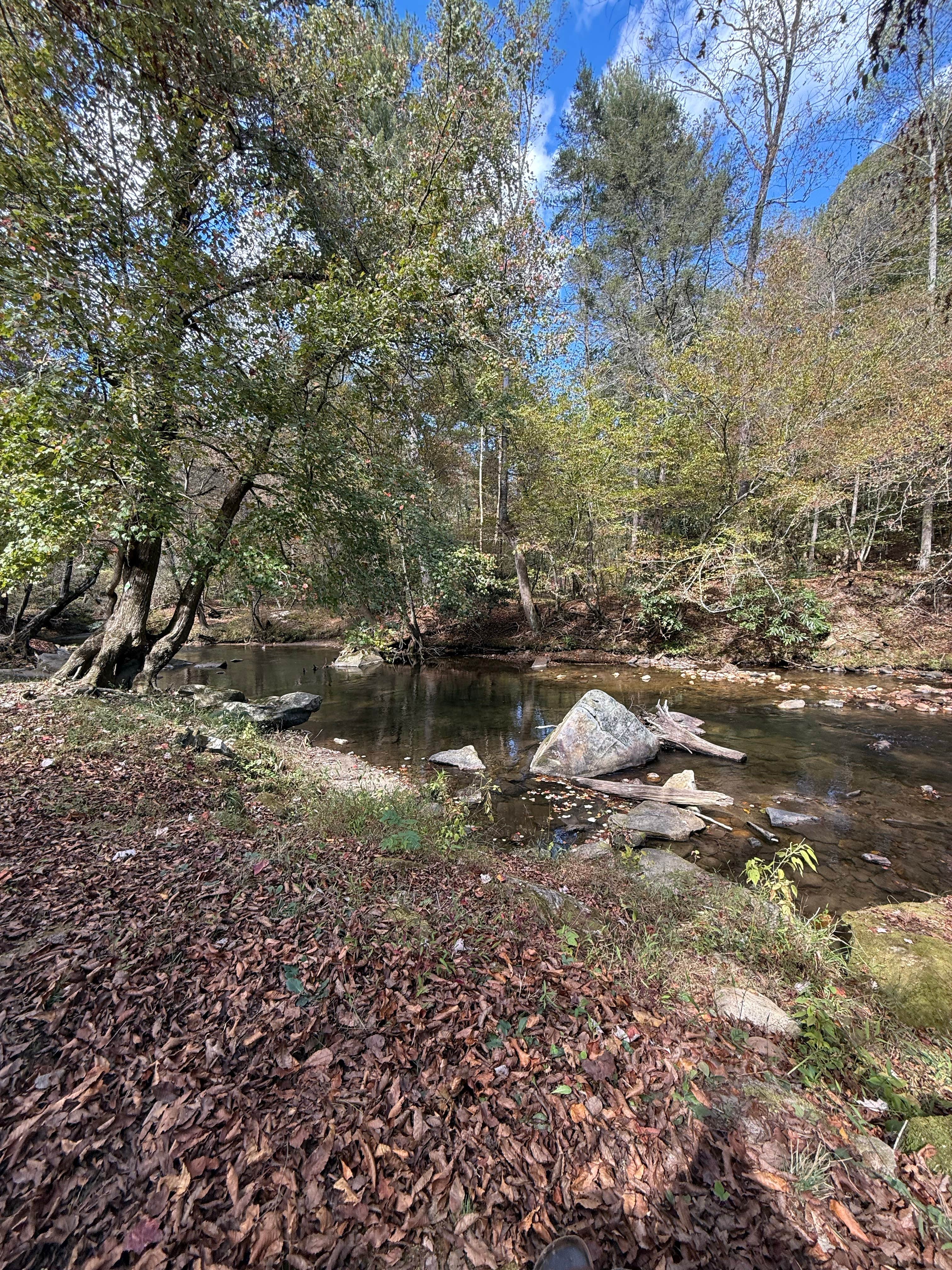 Camper-submitted photo at Cedar Rock Campground near Traphill, NC