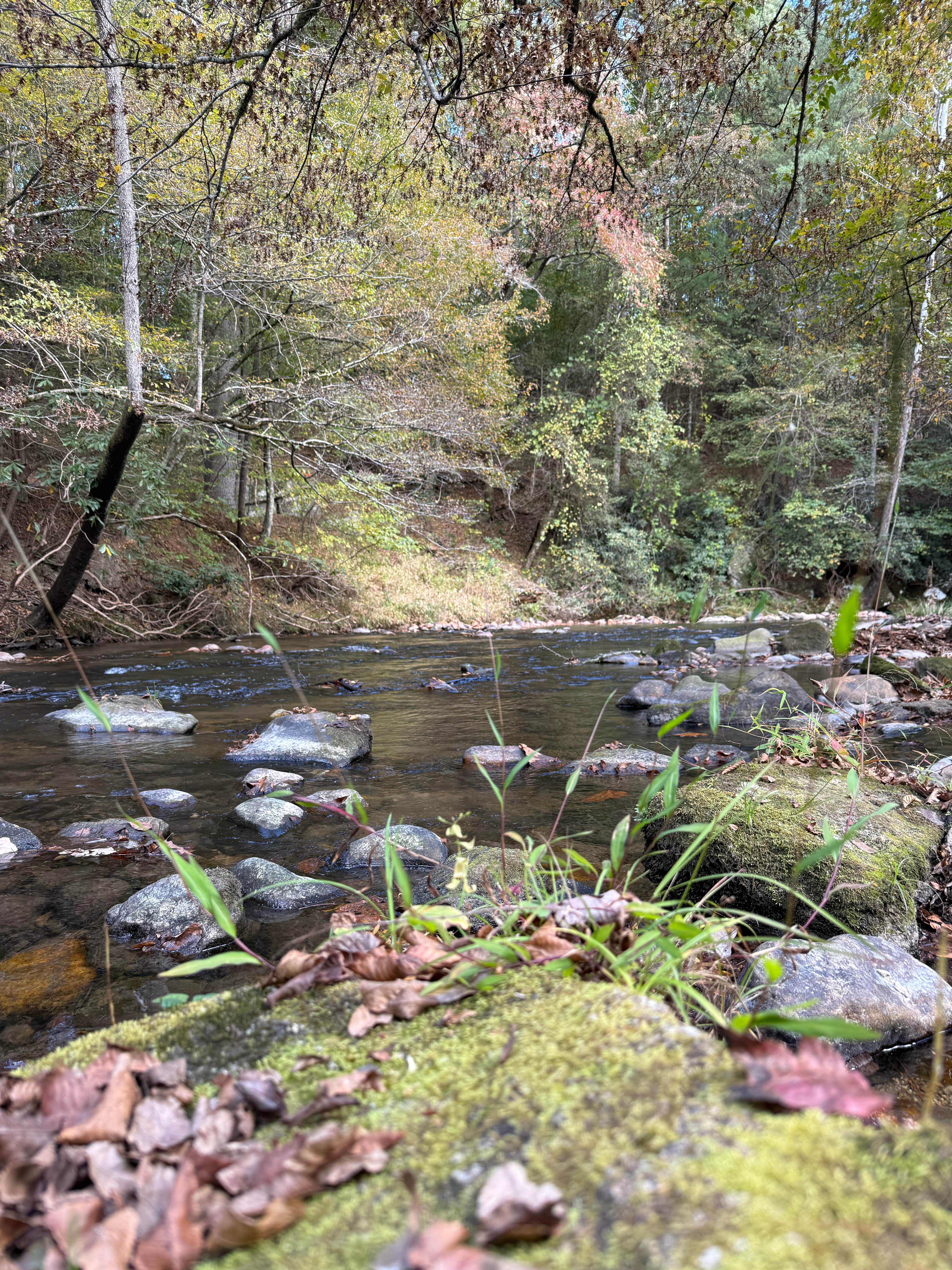 Camper-submitted photo at Cedar Rock Campground near Traphill, NC