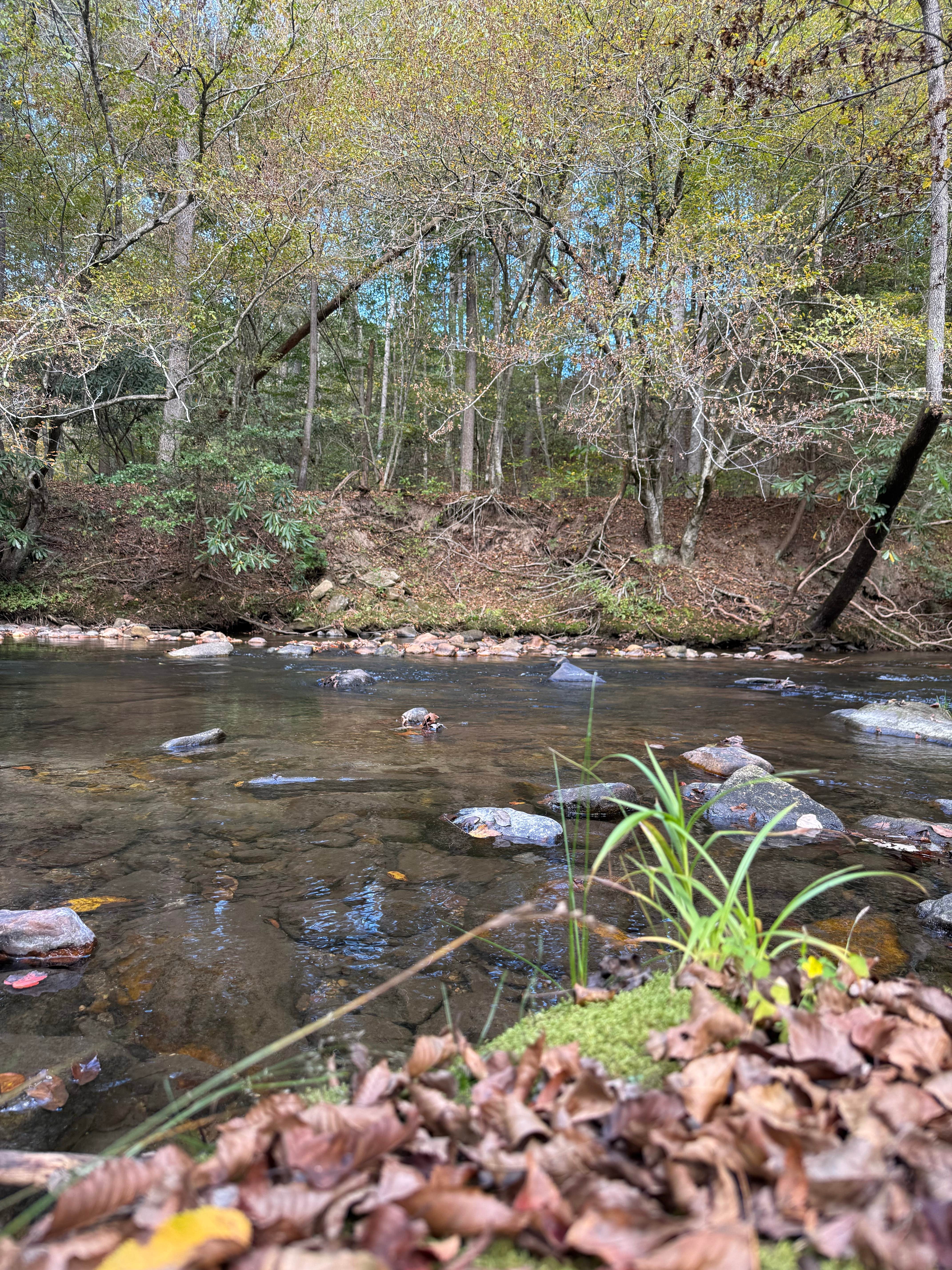 Camper-submitted photo at Cedar Rock Campground near Traphill, NC