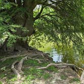 Review photo of Cedar Sage Camping Area — Guadalupe River State Park by Billie K., July 2, 2026