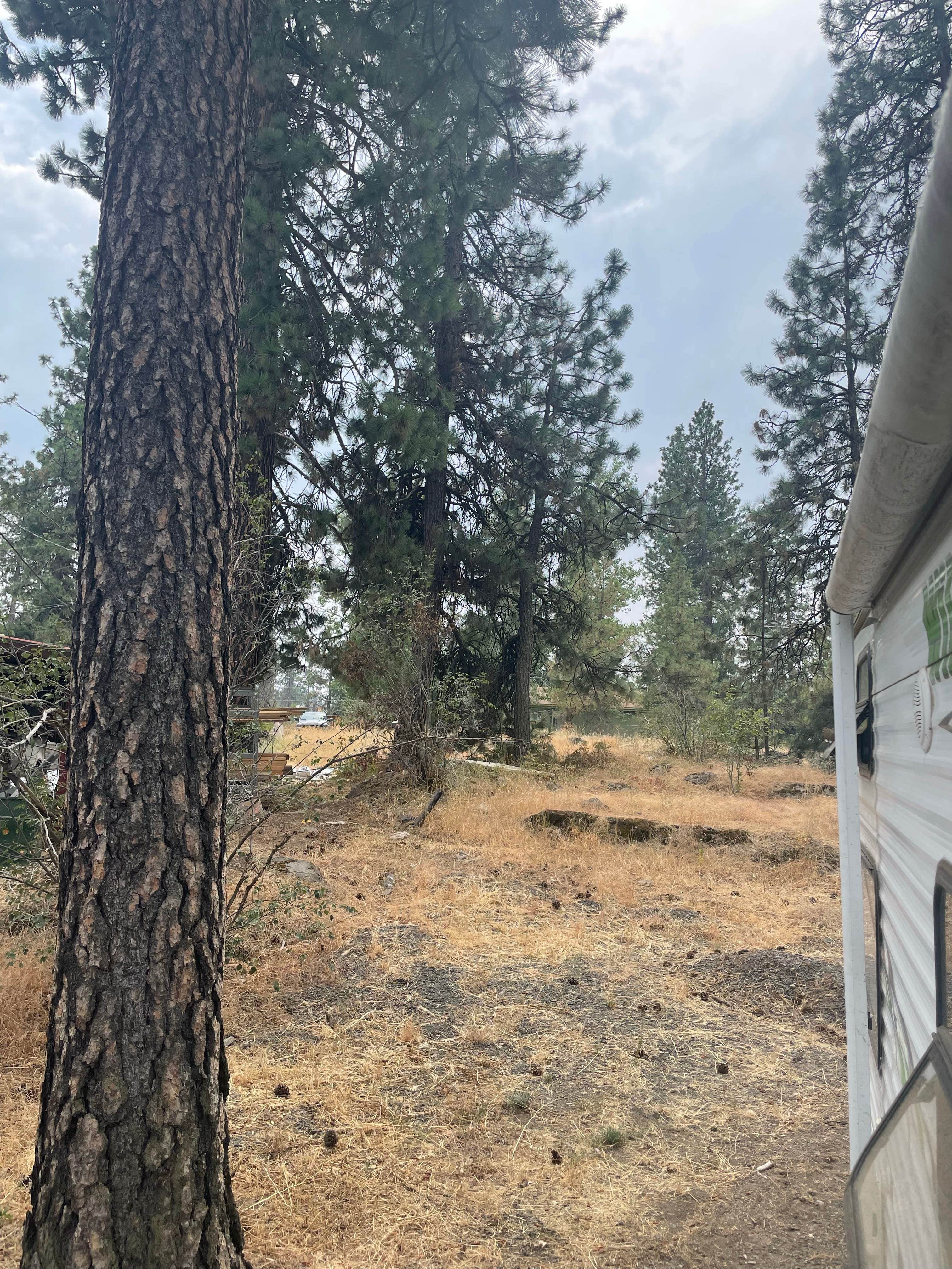 Camping near Peaceful Pines  RV Park & Campground: Cedar Village Motel & RV, Spokane, Washington