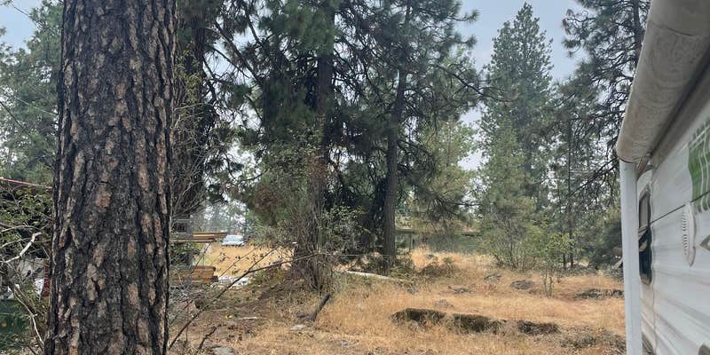 Camper submitted image from Cedar Village Motel & RV