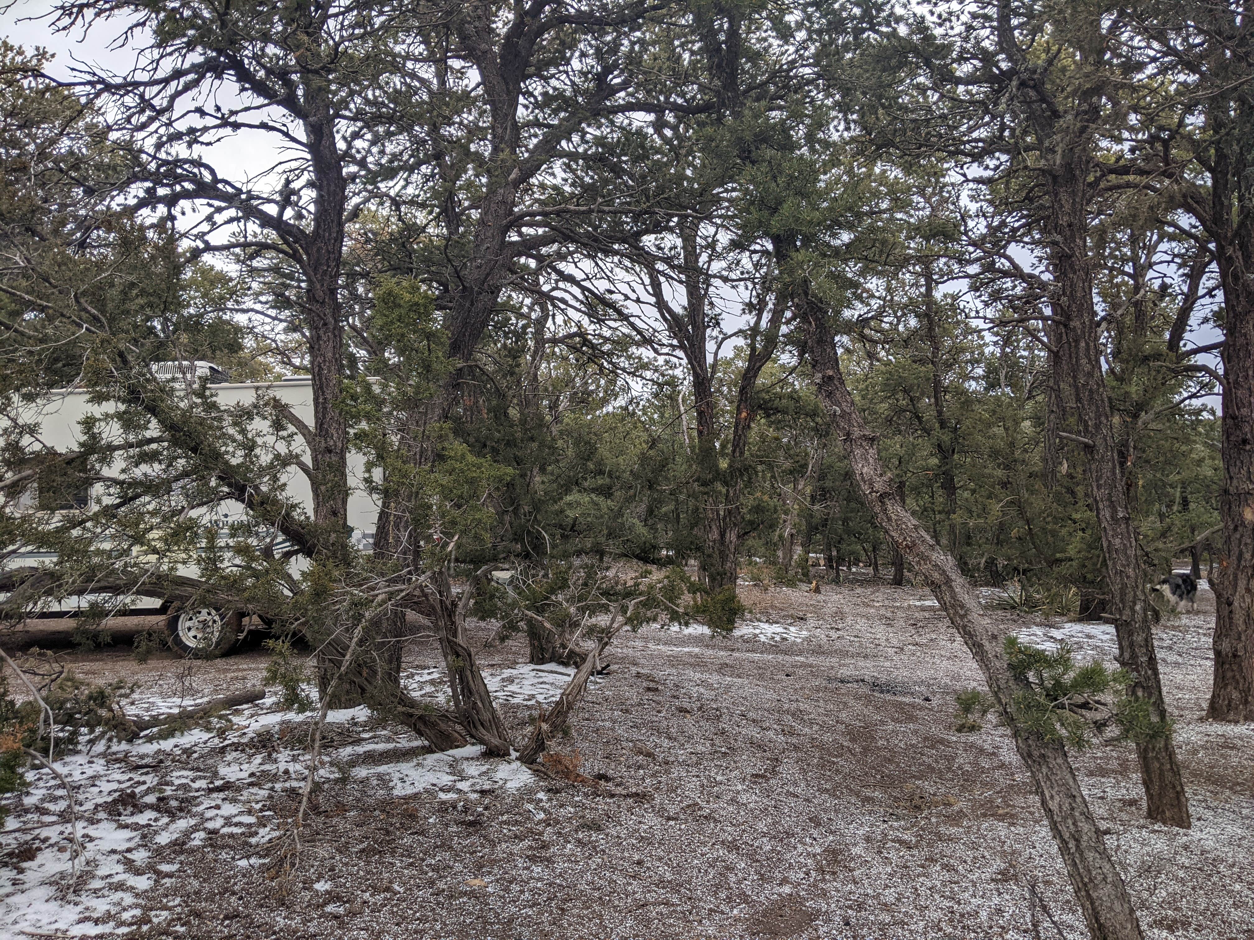 Camper-submitted photo at Cedro 2 Track 13 Dispersed Site near Mountainair, NM
