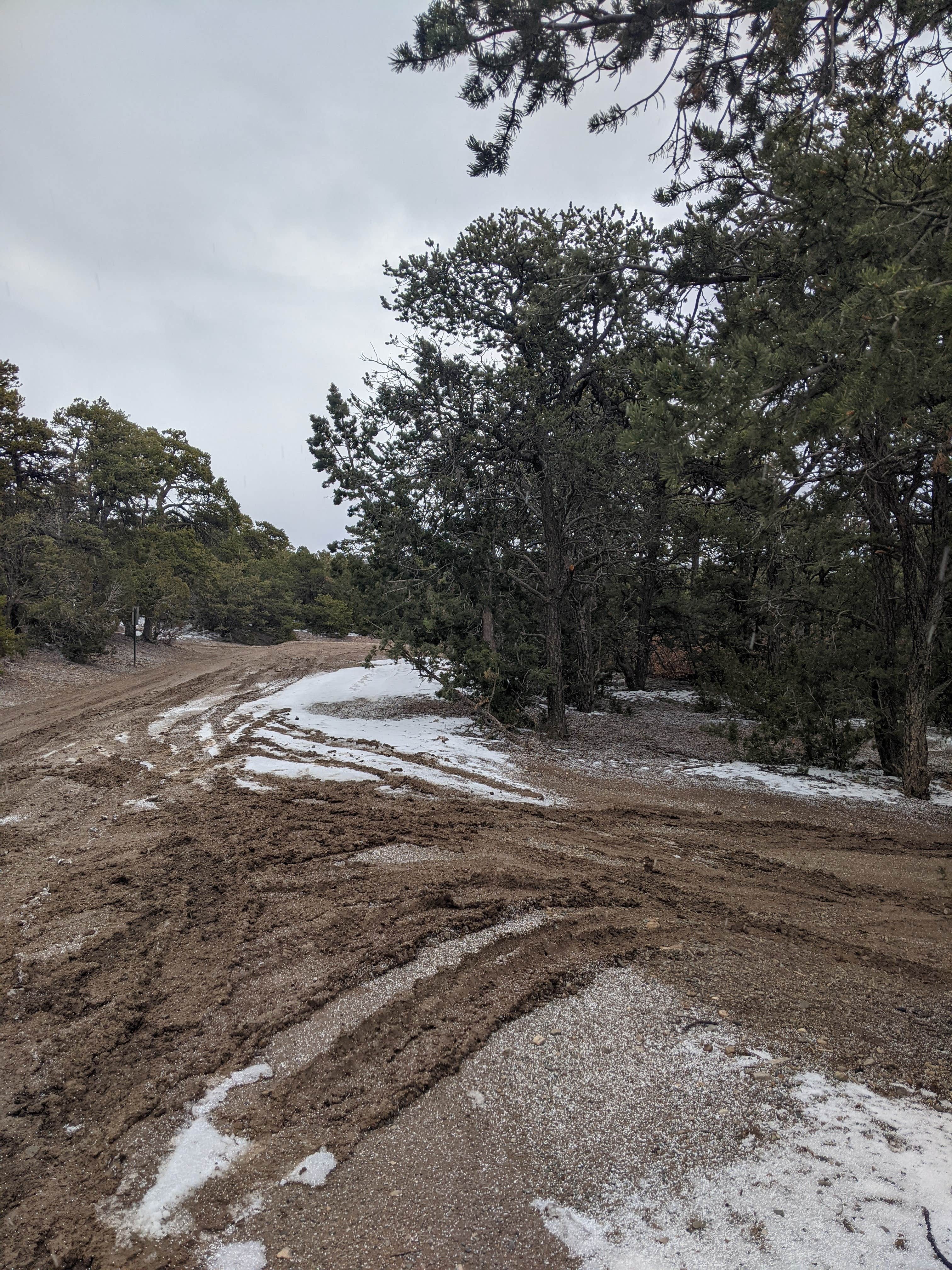 Camper-submitted photo at Cedro 2 Track 13 Dispersed Site near Mountainair, NM