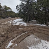 Review photo of Cedro 2 Track 13 Dispersed Site by Sherry M., February 7, 2024