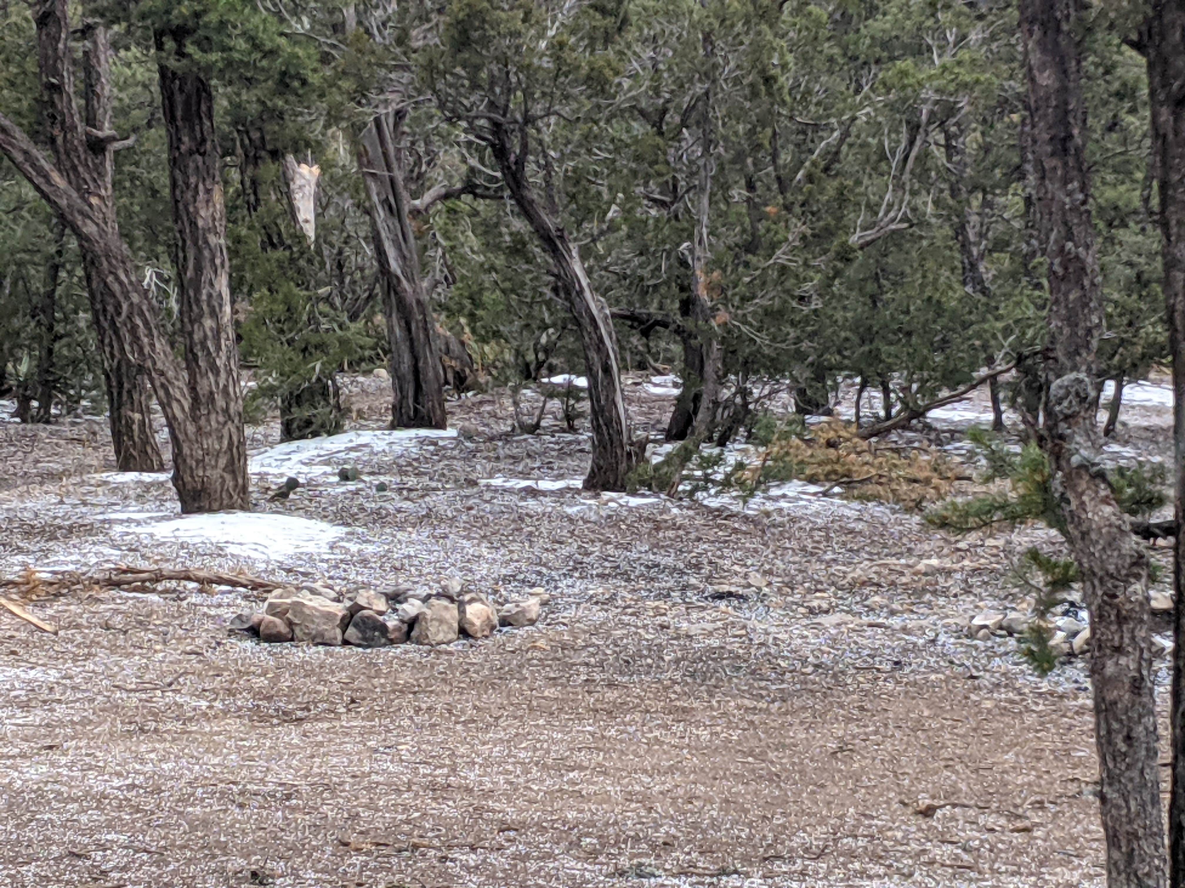 Camping near Manzanita Rec Zone Dispersed Camping - Sandia District: Cedro 2 Track 13 Dispersed Site, Tijeras, New Mexico