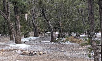 Camping near Ponderosa Pines Basecamp: Cedro 2 Track 13 Dispersed Site, Tijeras, New Mexico