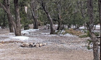 Camping near Albuquerque Central KOA: Cedro 2 Track 13 Dispersed Site, Tijeras, New Mexico