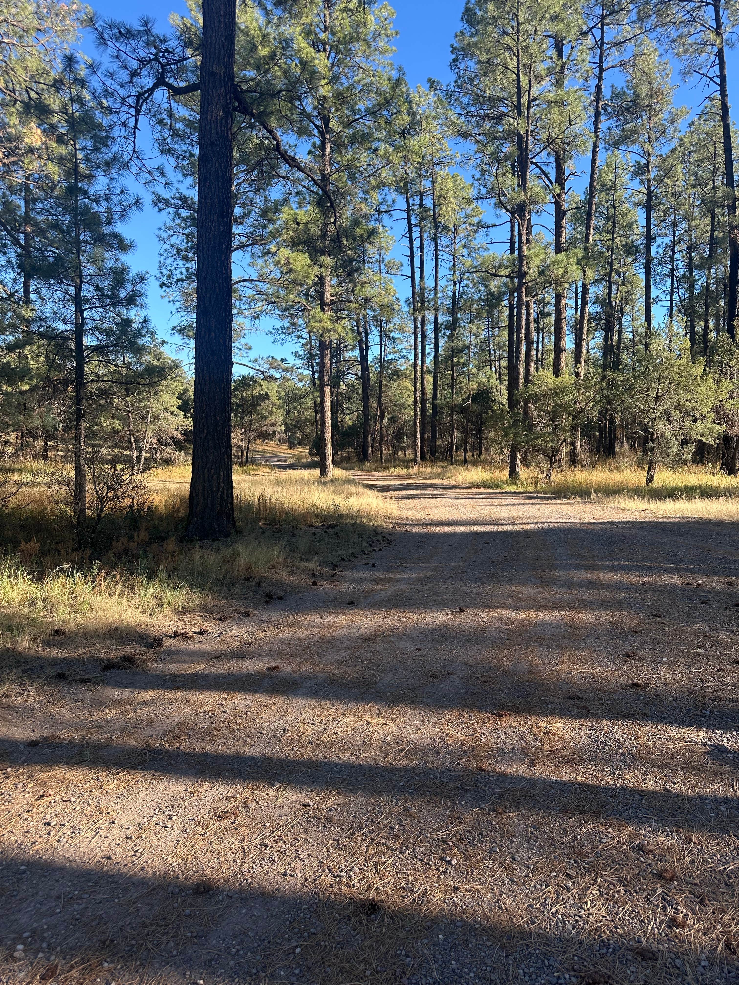 Camper submitted image from Comfort Well Dispersed Camping - 5