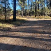 Review photo of Comfort Well Dispersed Camping by Alisa P., October 28, 2025