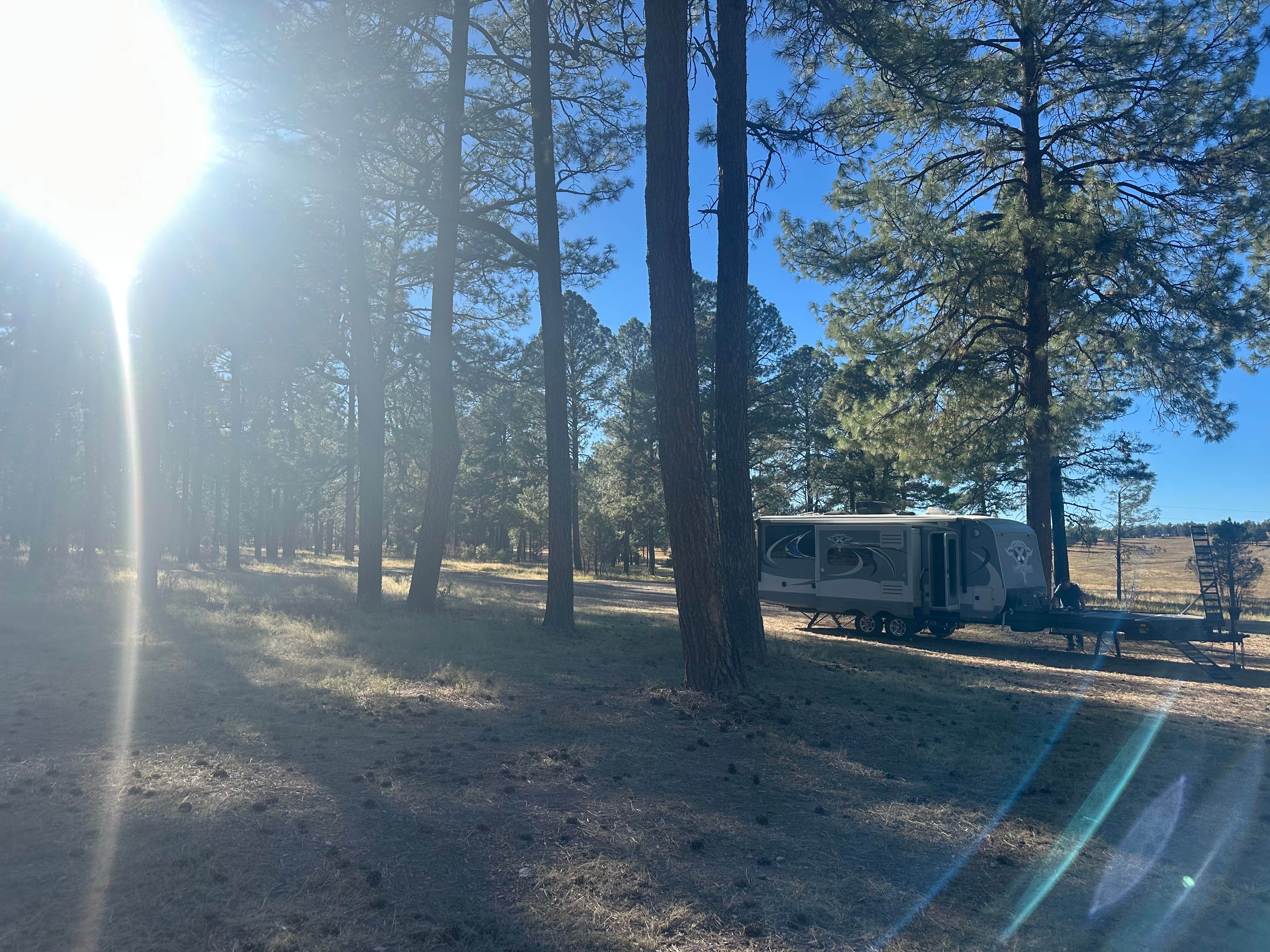 Camper-submitted photo at Comfort Well Dispersed Camping near Hanover, NM