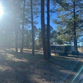 Review photo of Comfort Well Dispersed Camping by Alisa P., October 28, 2025