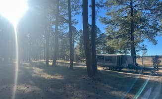 Alisa P.'s photo of a dispersed camping area at Comfort Well Dispersed Camping near Arrey, NM