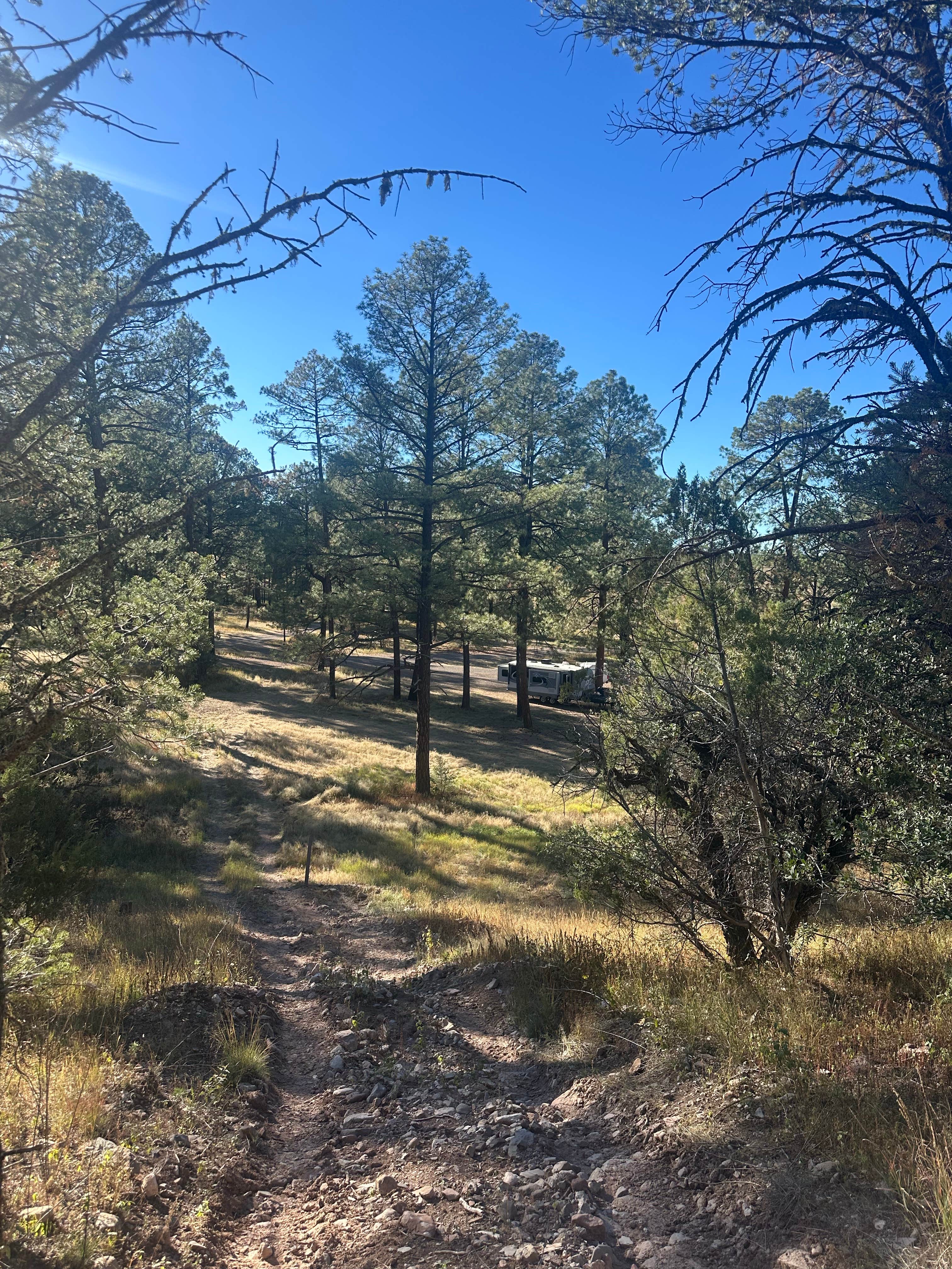 Camper submitted image from Comfort Well Dispersed Camping - 2