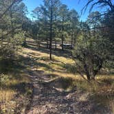 Review photo of Comfort Well Dispersed Camping by Alisa P., October 28, 2025