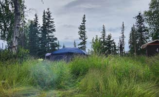 Vera G.'s photo at Centennial Park & Campground near Kenai National Wildlife Refuge