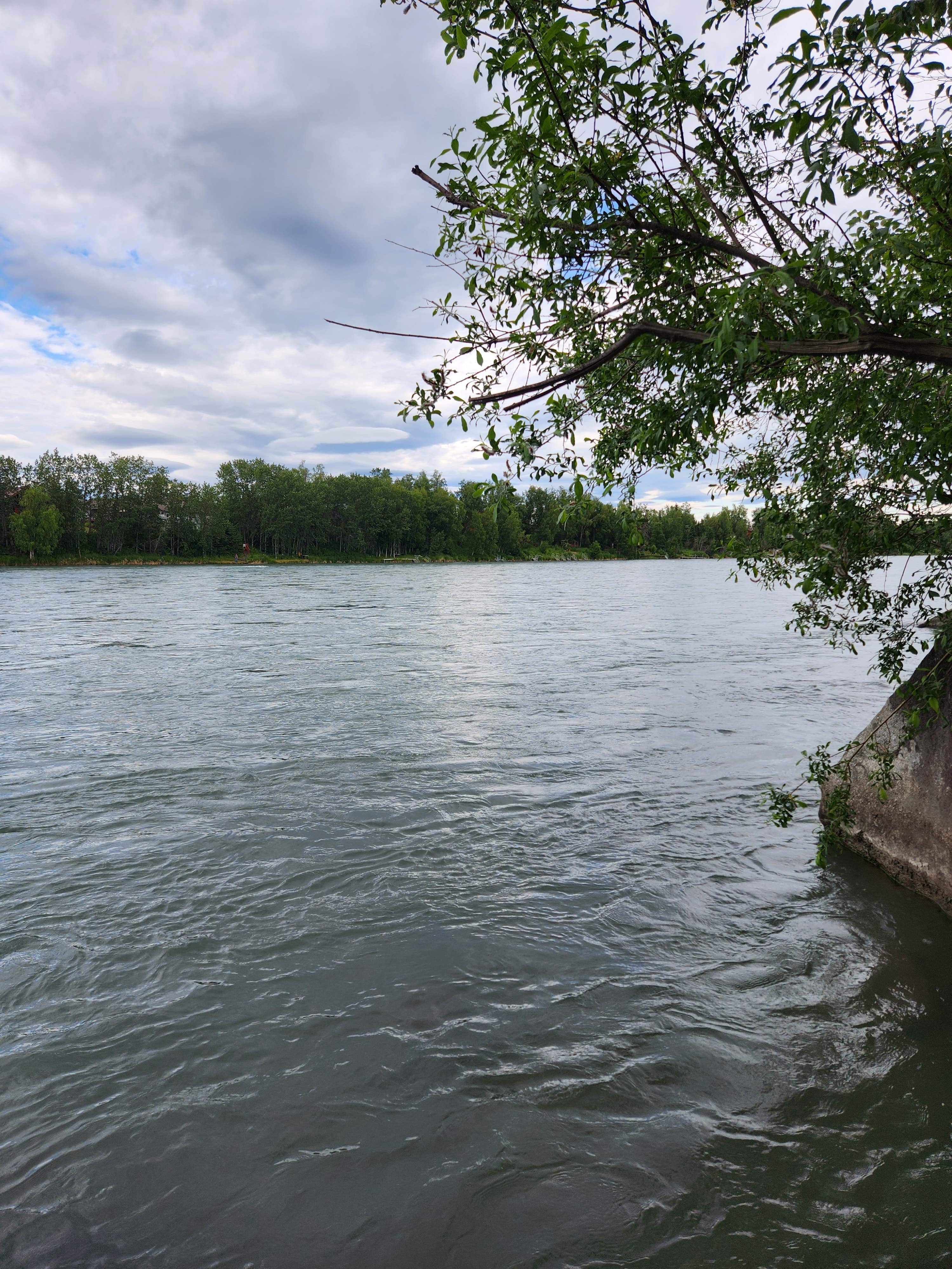 Camper-submitted photo at Centennial Park & Campground near Kenai National Wildlife Refuge