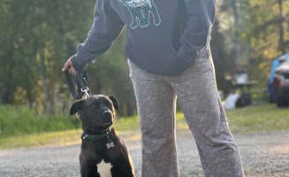 Eneriko E.'s photo of camping with pets at Centennial Park & Campground near Cooper Landing, AK