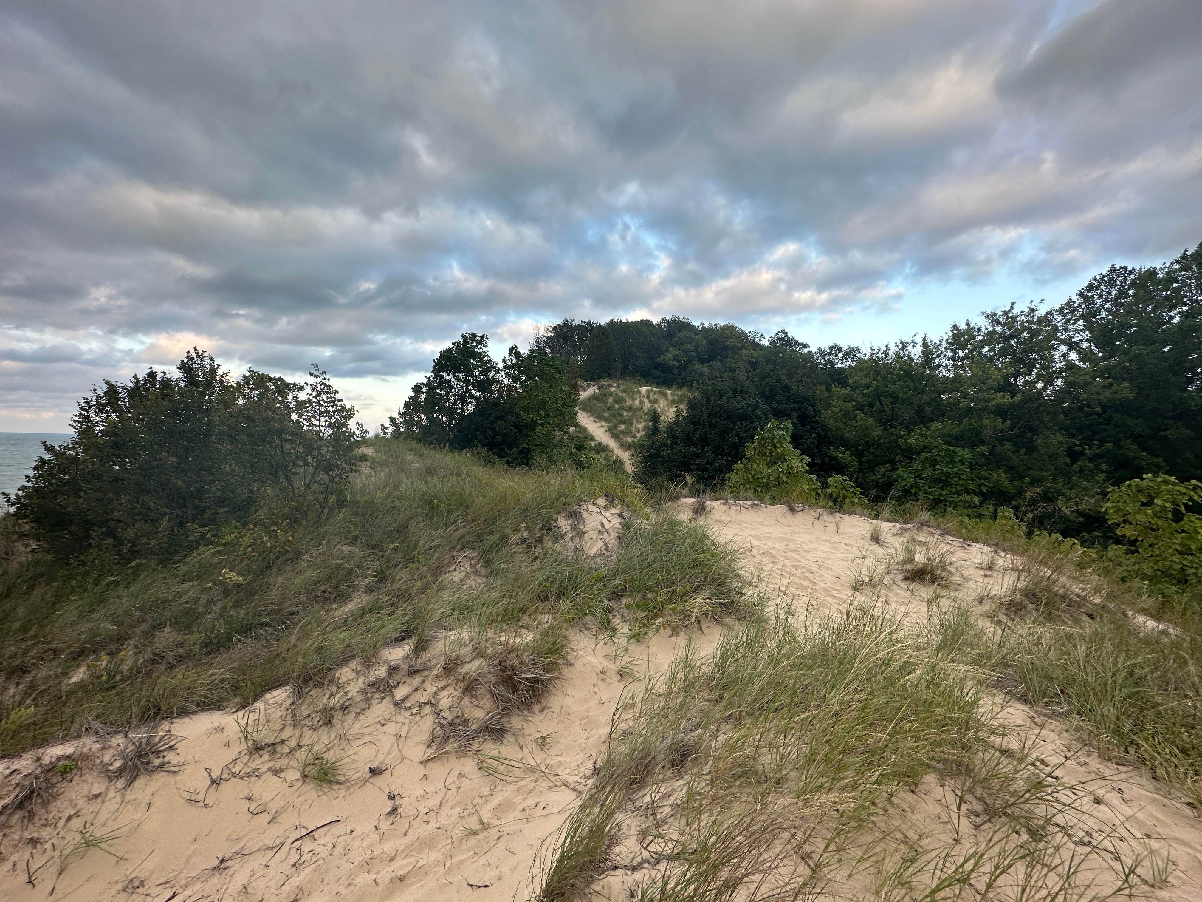 Camper-submitted photo at Central Avenue Walk-in Sites — Indiana Dunes National Park near Union Pier, MI
