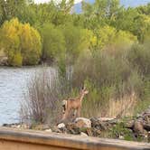 Review photo of Andreas on the River RV Park by Daniel & Vicky C., May 11, 2025
