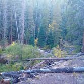 Review photo of Ceran St. Vrain Trail Dispersed Camping by Hanna K., September 27, 2024