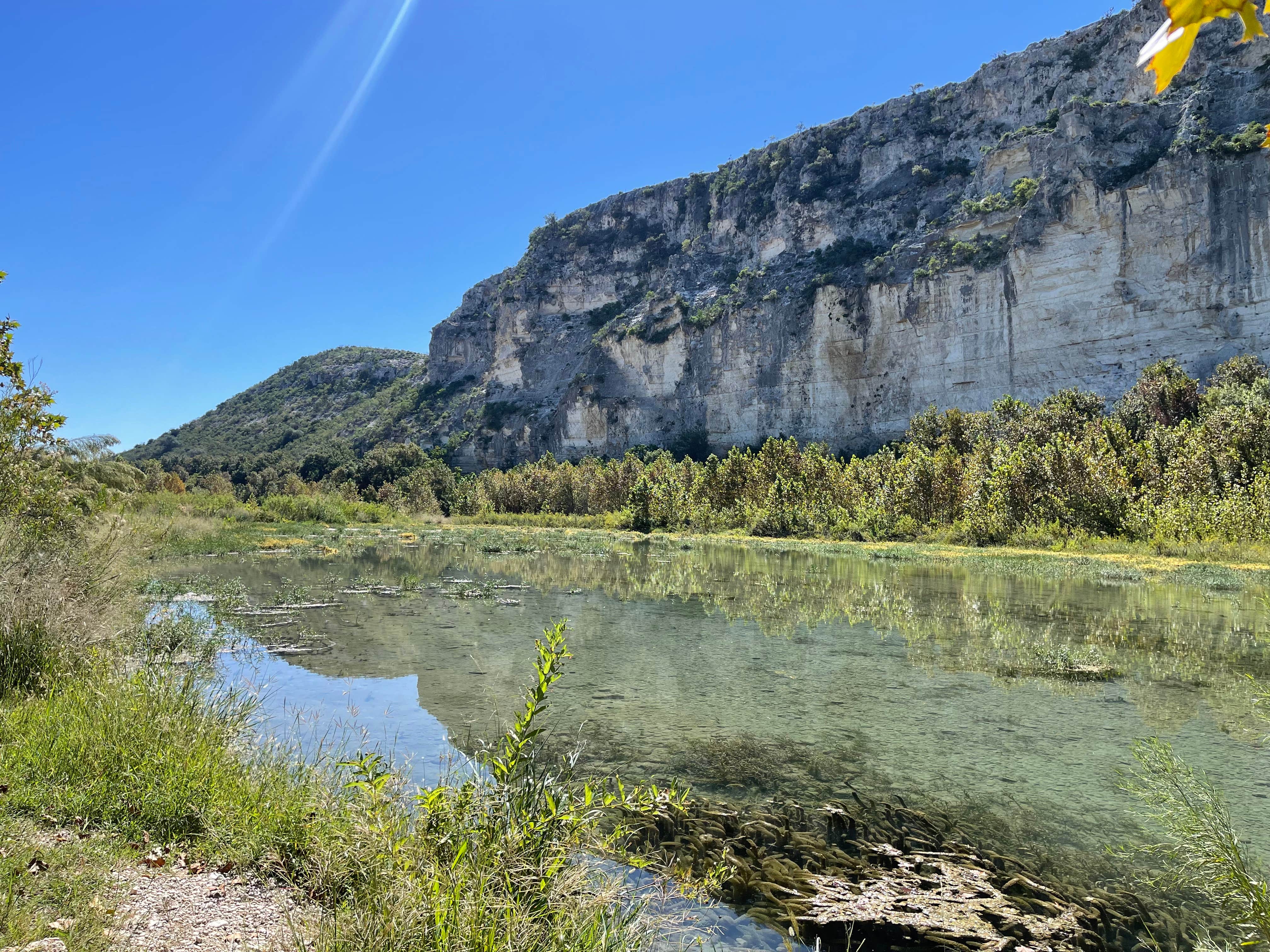 Camper submitted image from Chalk Bluff River Resort - 2