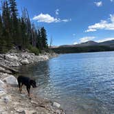 Review photo of Chambers Lake Dispersed Camping by Megan F., July 16, 2026