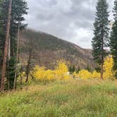 Review photo of Chambers Lake Dispersed Camping by Pamela B., September 16, 2026