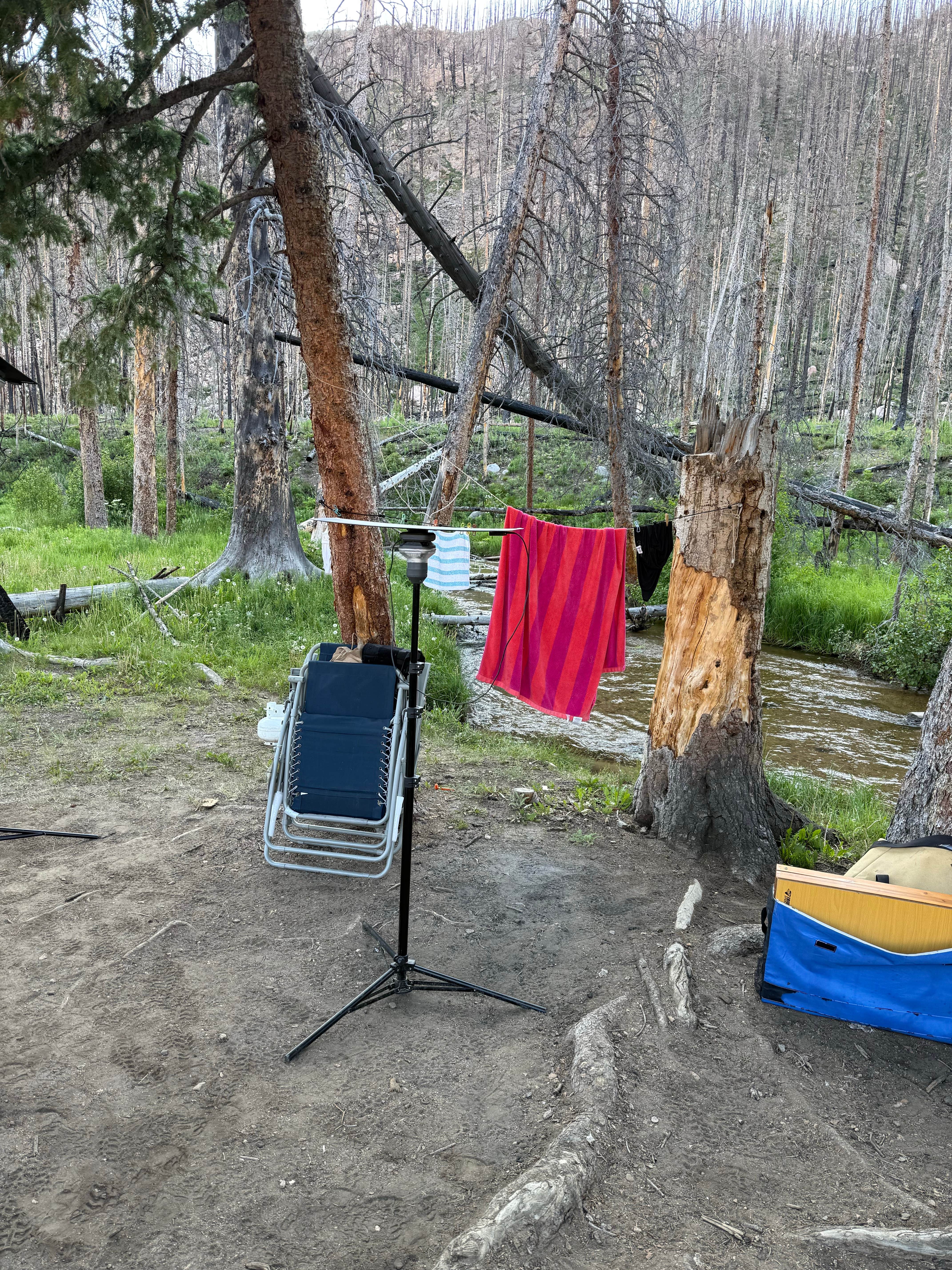 Camper-submitted photo at Chambers Lake Dispersed Camping near Gould, CO