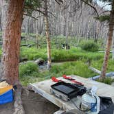 Review photo of Chambers Lake Dispersed Camping by James G., June 28, 2025