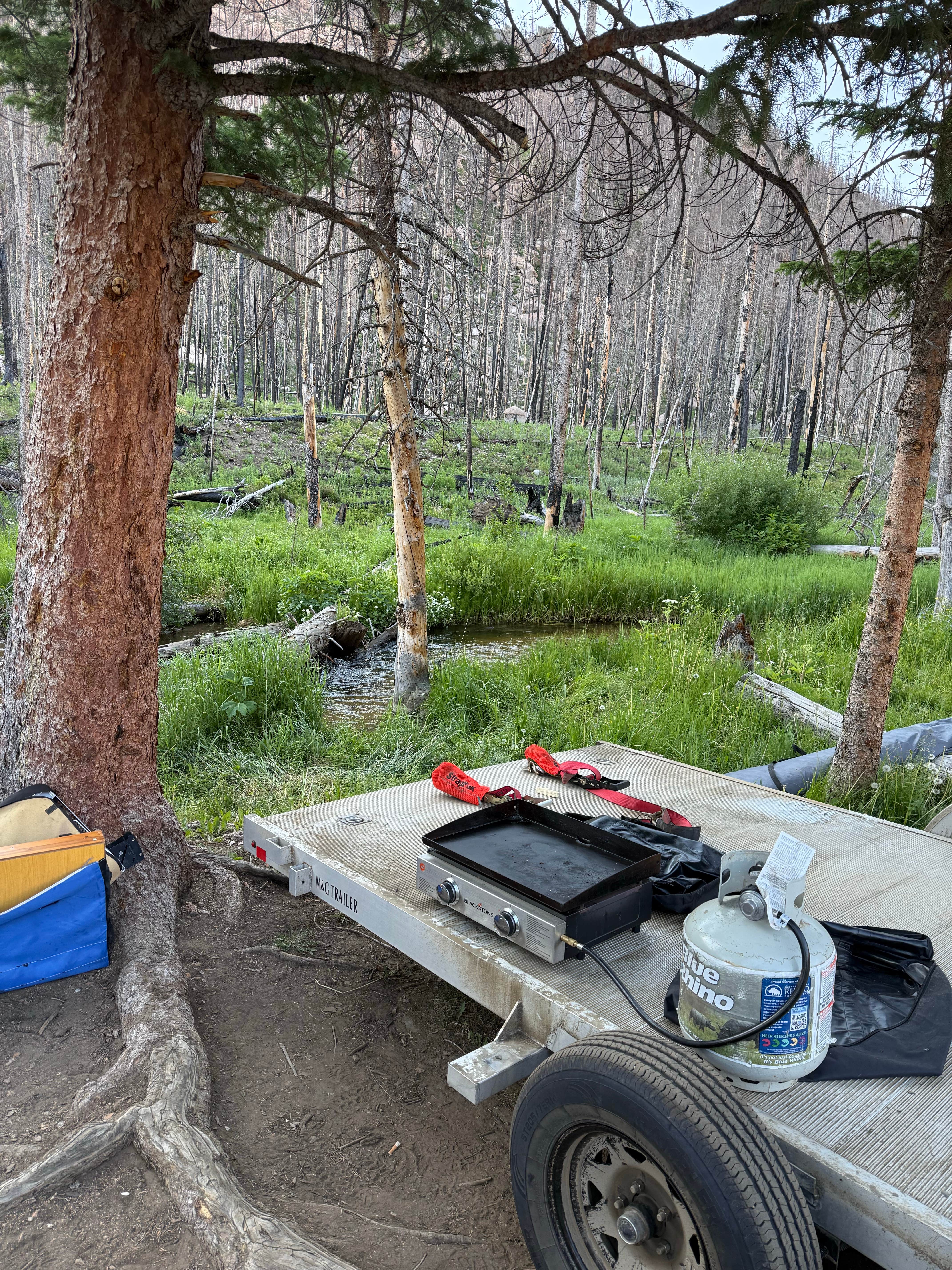 Camper submitted image from Chambers Lake Dispersed Camping - 5